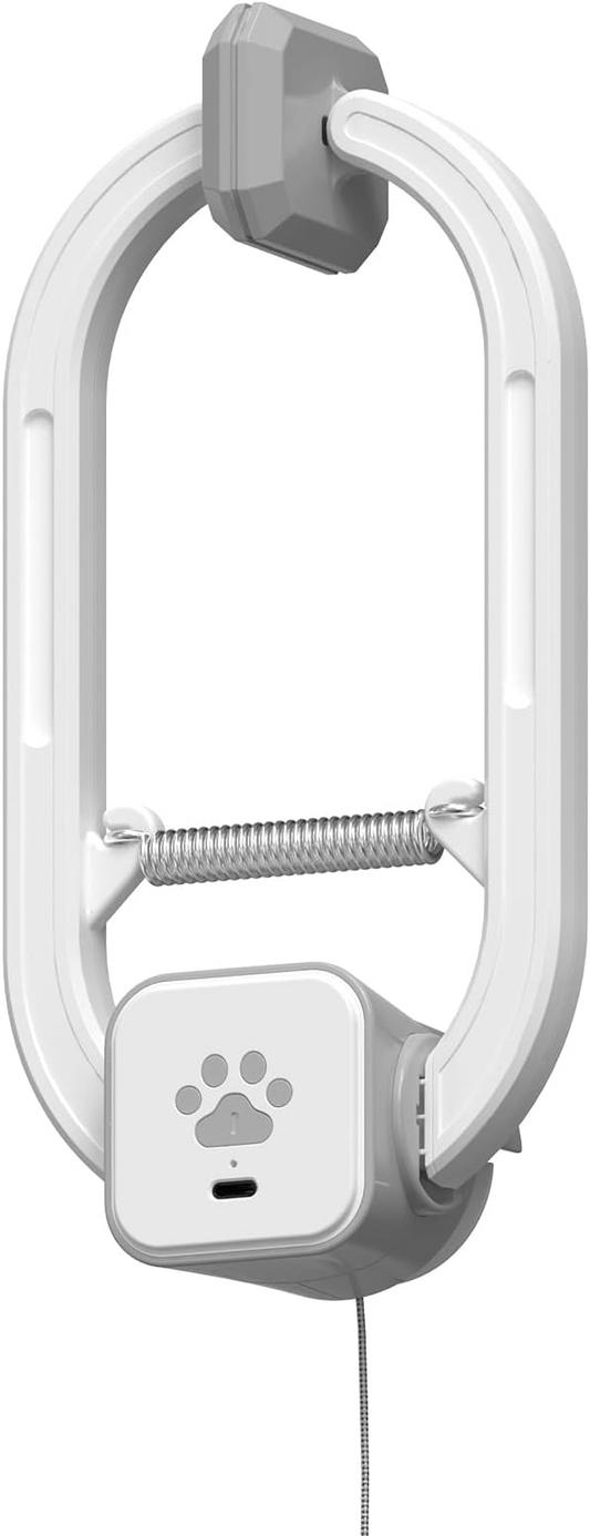 Rechargeable Electric Cat Teaser – Interactive Door Clip Toy with 2 Motion Modes